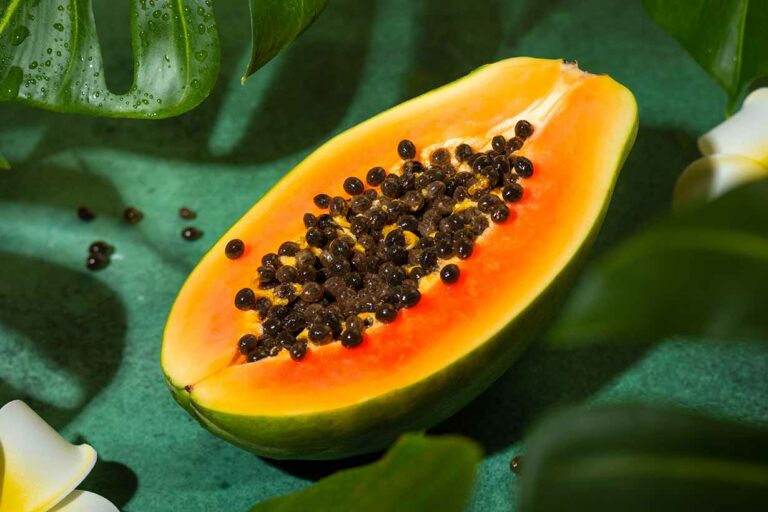 HEALTH BENEFITS OF PAPAYA TEA EXTRACT